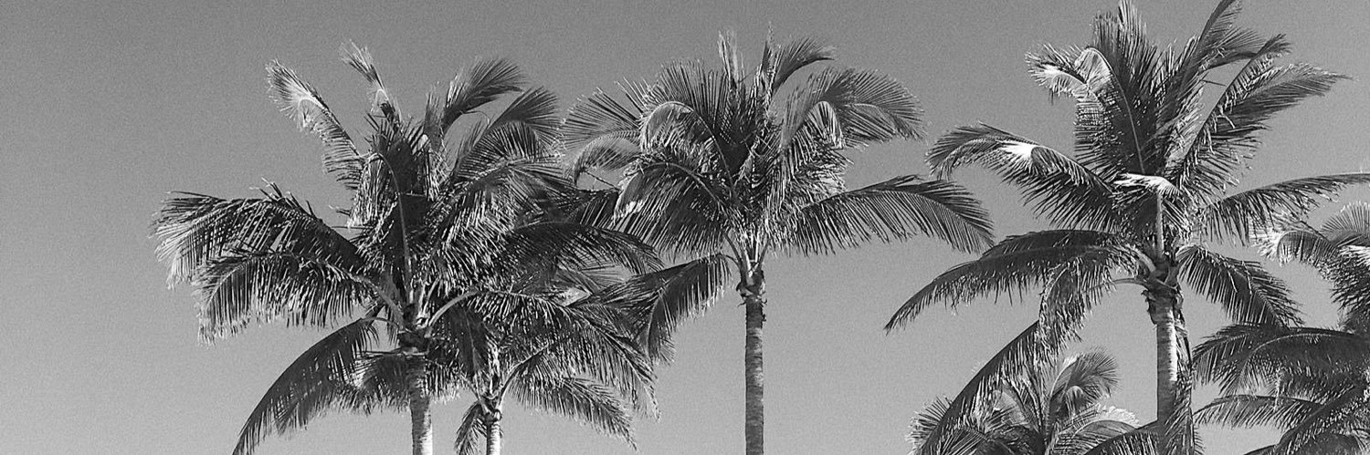jazzgraceoneill's profile banner image