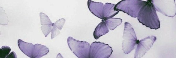 _teddy Profile Banner