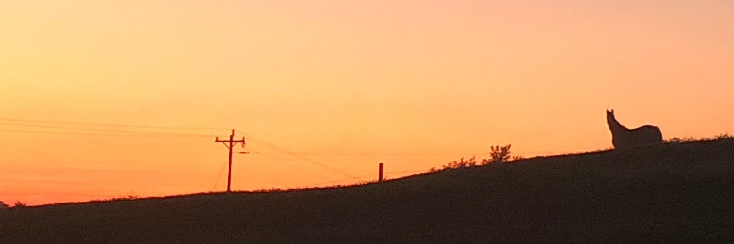 sarahcmadden's profile banner image