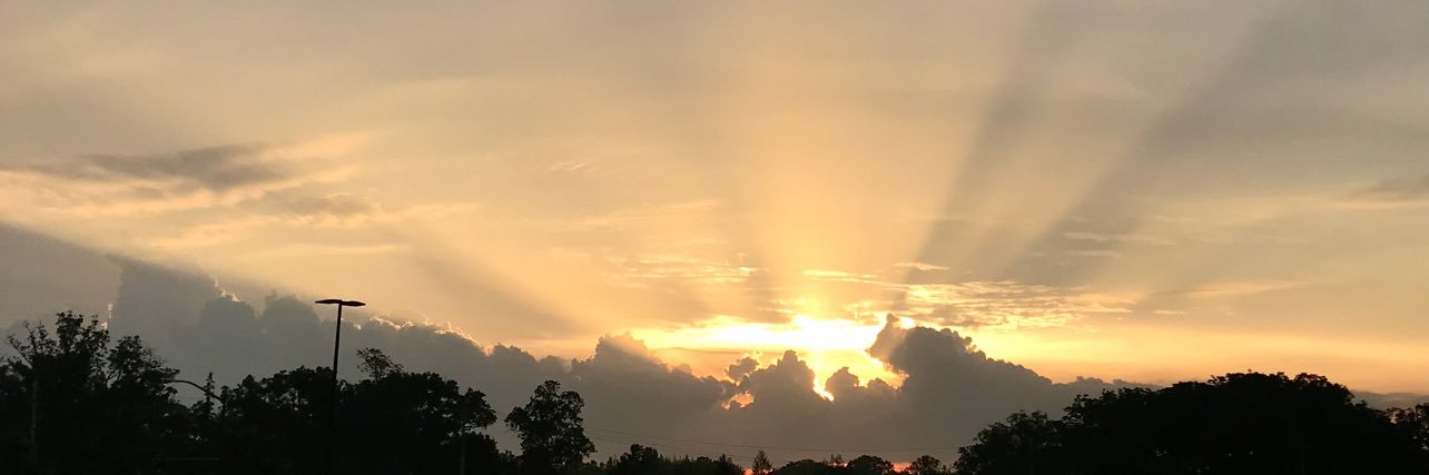 Chaotically Writing banner