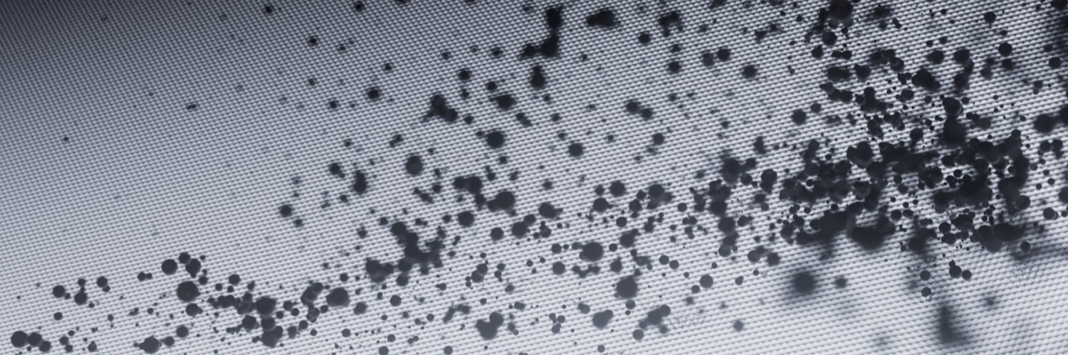 benbarnhardt's profile banner image