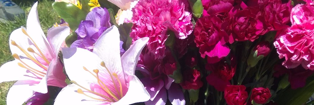 Peipera's profile banner image