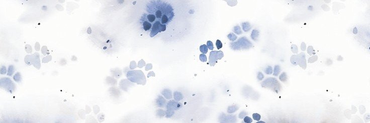 𝒄𝒉𝒆𝒓𝒏𝒐𝒆𝒍𝒍𝒂 ❄️ banner