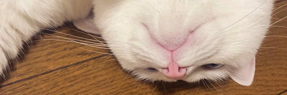 りんくすていっぷ banner