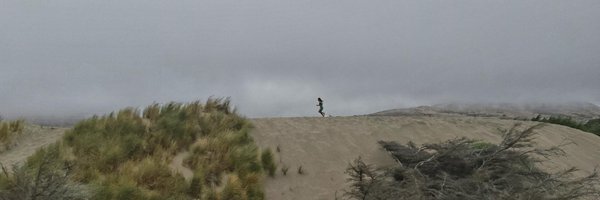 ElisabethRohm Profile Banner