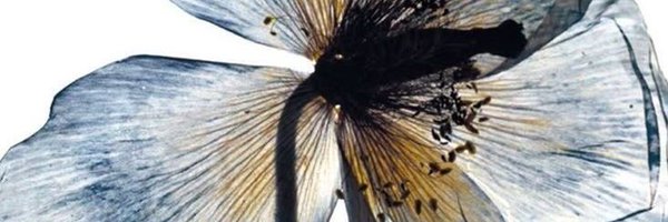 nobmakis Profile Banner