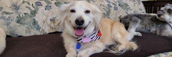 RickyDoggin Profile Banner