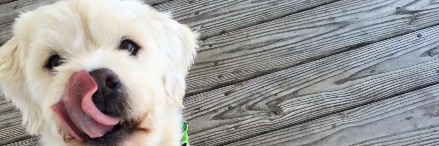 Michele912's profile banner image