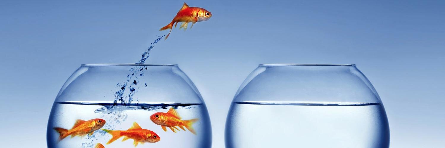 Jonathan Levitt banner