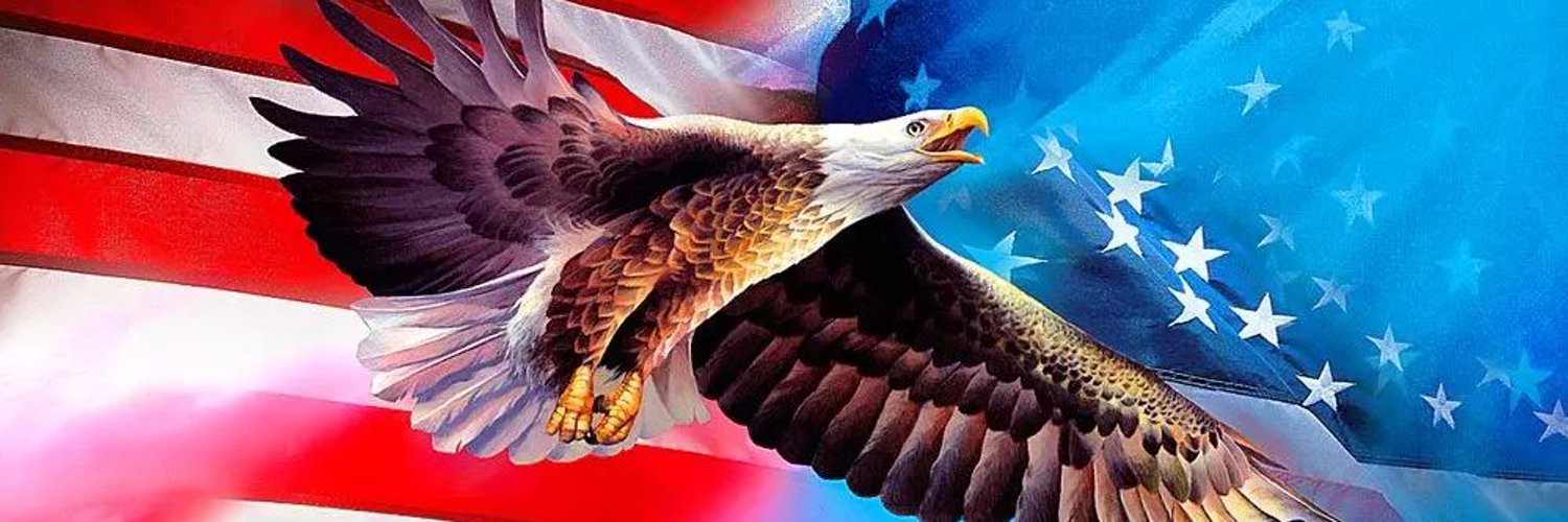 PAMELA HENSLEY🇺🇸's banner