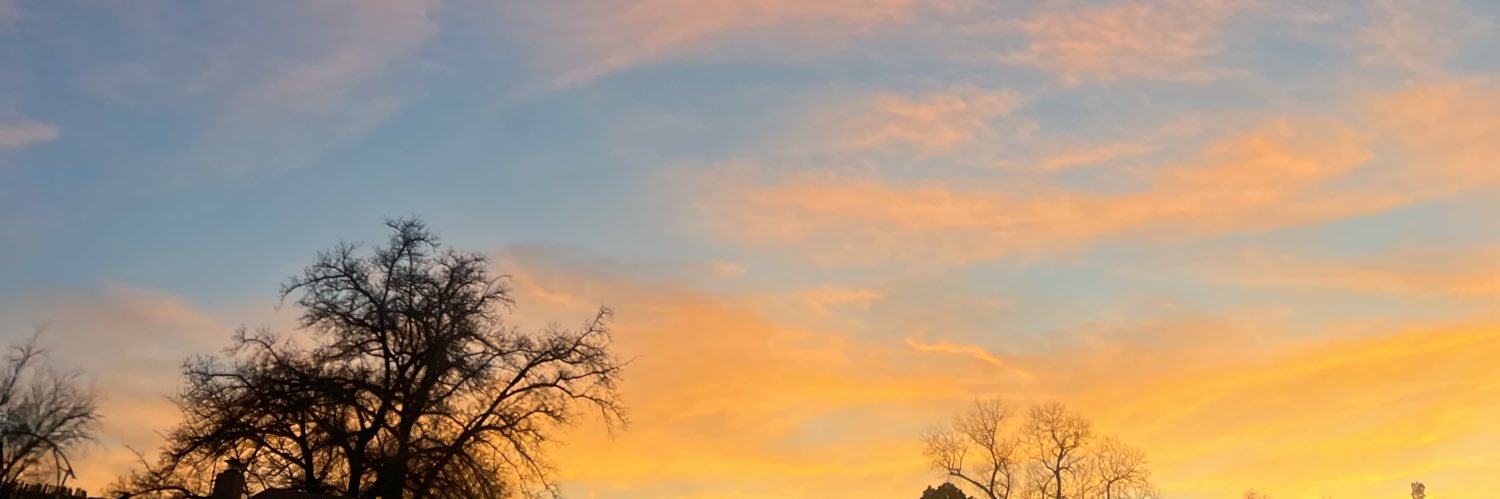 Maya_Dow's profile banner image