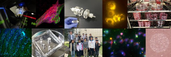 Y_N_Lab Profile Banner