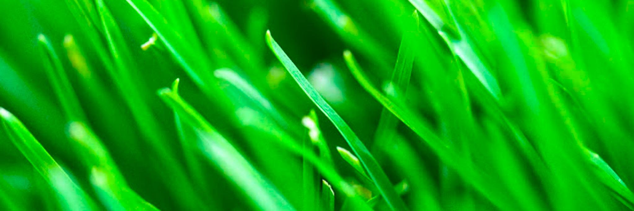 poesee's profile banner image