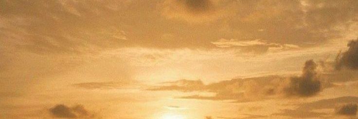 Asxt 🥑 banner