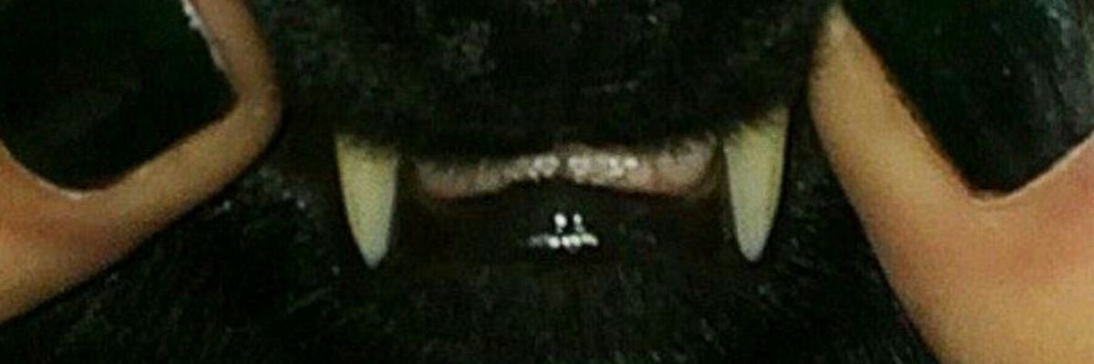 jules banner