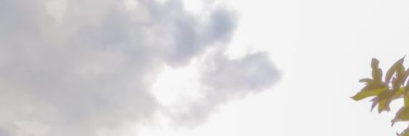 Ronipewe's profile banner image