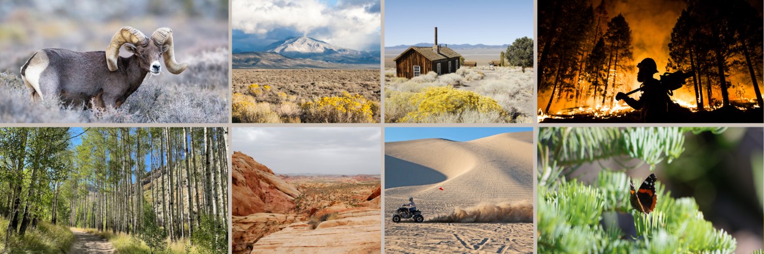 Nevada Dept. of Conservation & Natural Resources banner