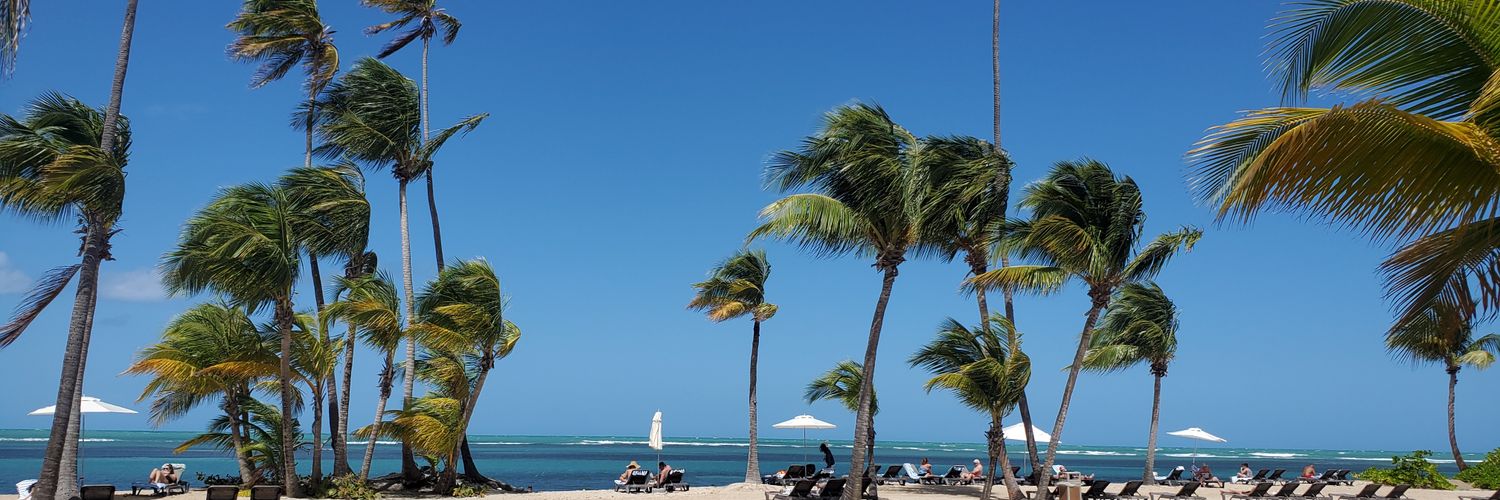 AllisonCFried's profile banner image