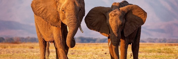 Maina52845665's profile banner image