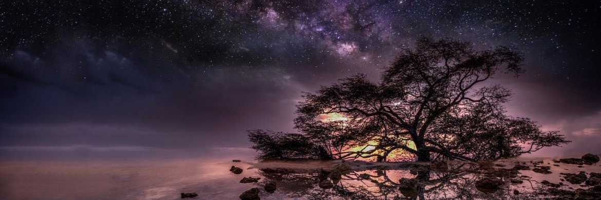 Chris Andersen 🌻 banner