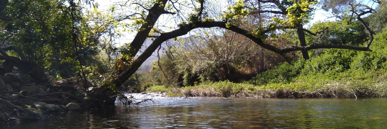 Terracide's profile banner image