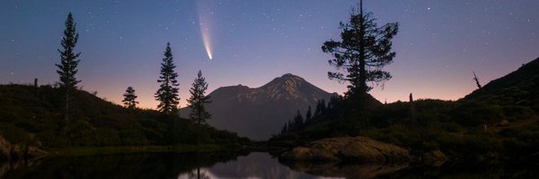 bitterdog Profile Banner