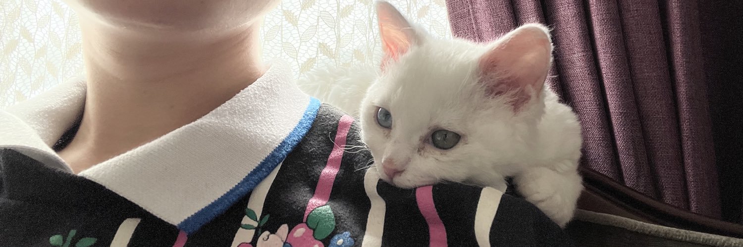 MillnaCat's profile banner image