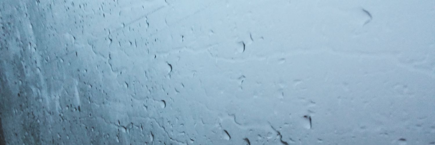 allysonmcnicol's profile banner image