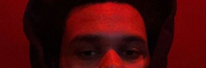 eu_willy banner
