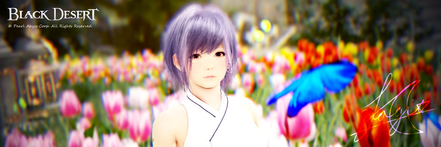 kan46_h's profile banner image