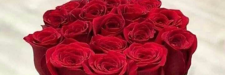 صمتي حكي banner