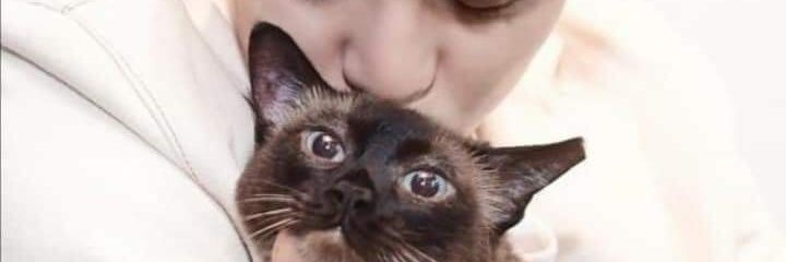 igeei_'s profile banner image