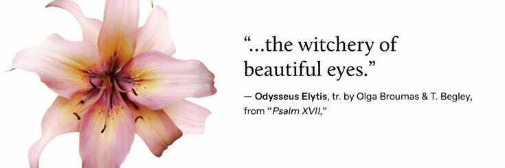 blooms, bibina banner