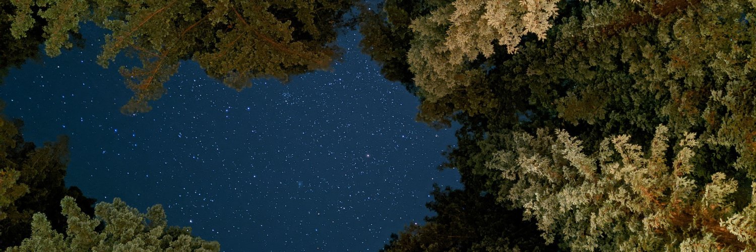 rickyzager's profile banner image