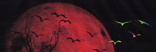 Dahmanieke 🤙🏾 banner