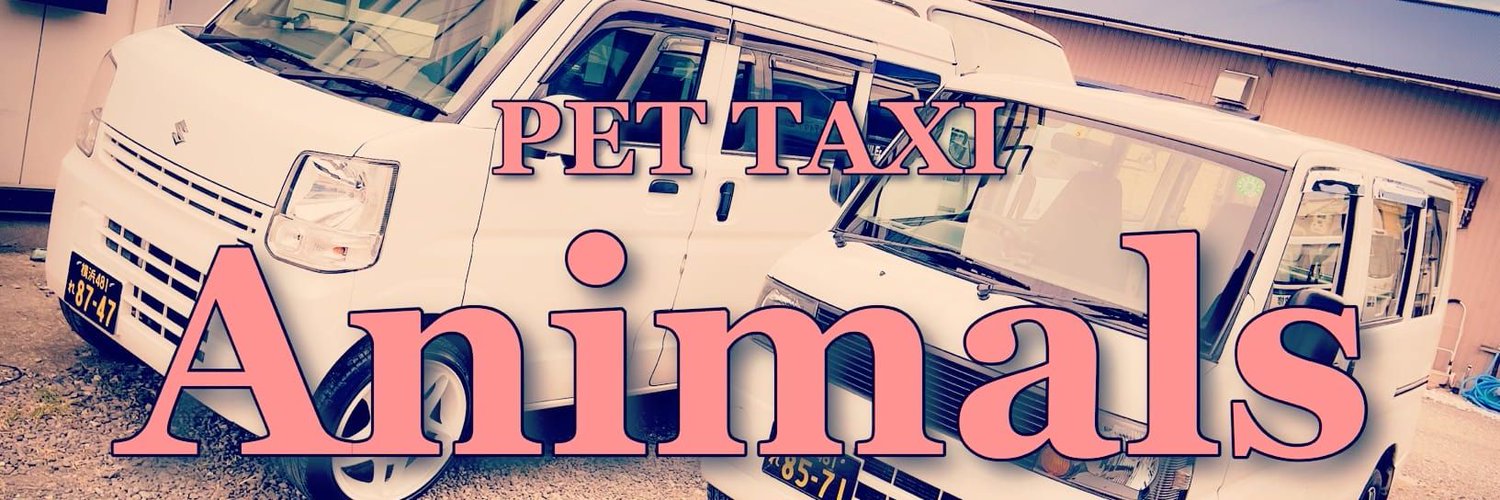 横浜 ペットタクシー 🐶Animals😺 (PetTAXi_Animals) Twitter