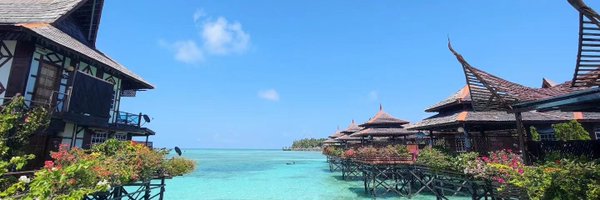 AliciaYL0 Profile Banner