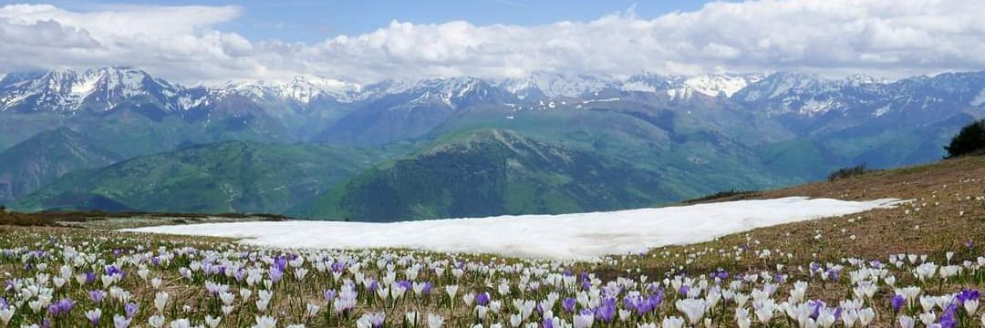 LACROIX Fanny banner