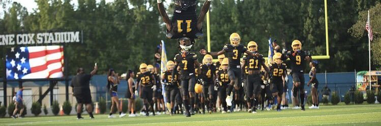 Rickards Raiders Football banner