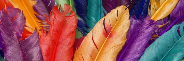 asrar_baroom Profile Banner