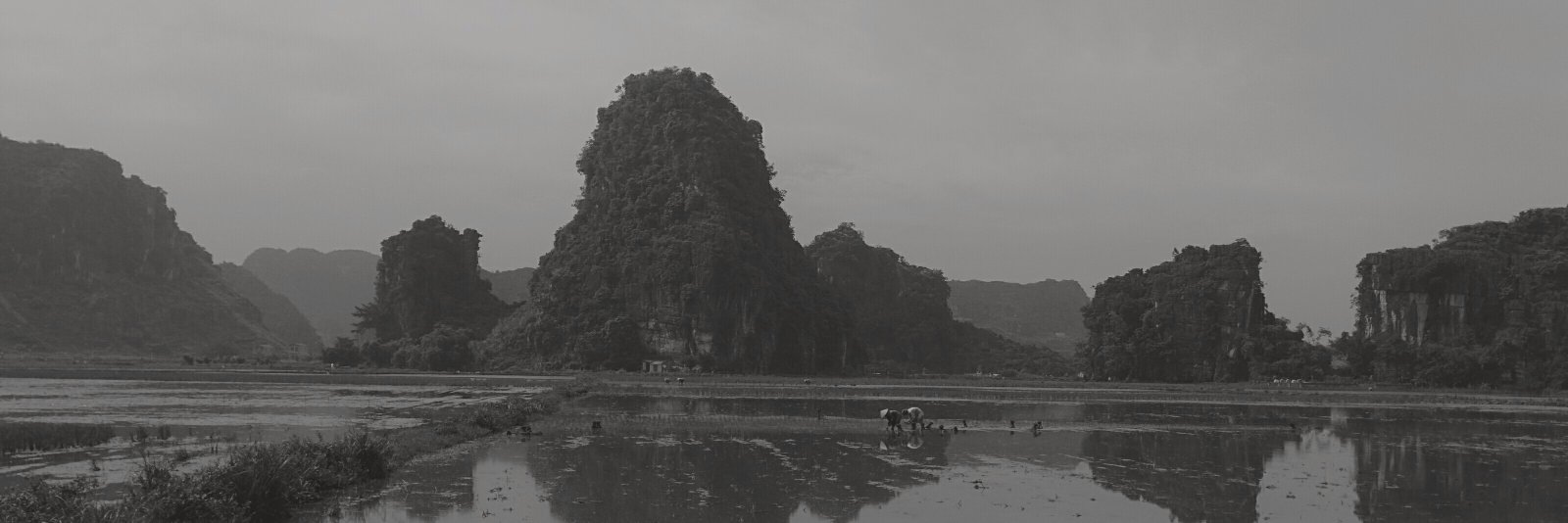 DarznseN's profile banner image