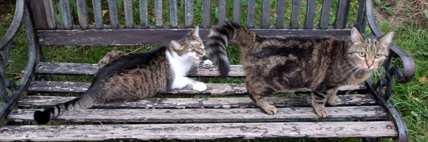 🇦🇹 firewhoman 🚒 🐈🐈‍⬛ 📯 💚 banner