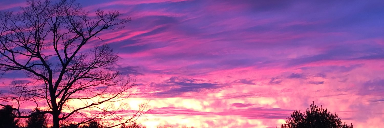 corinaroy's profile banner image