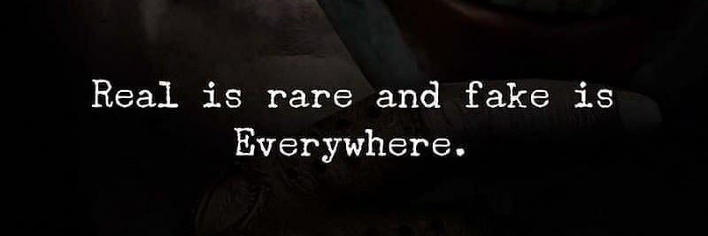 CathWulf 🌞 banner