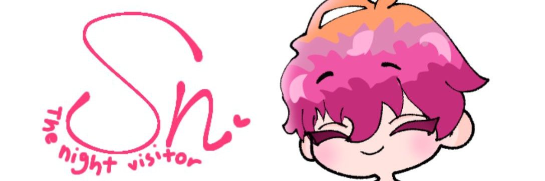 SN The Night Visitor banner