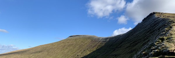 AmyMHarrison Profile Banner
