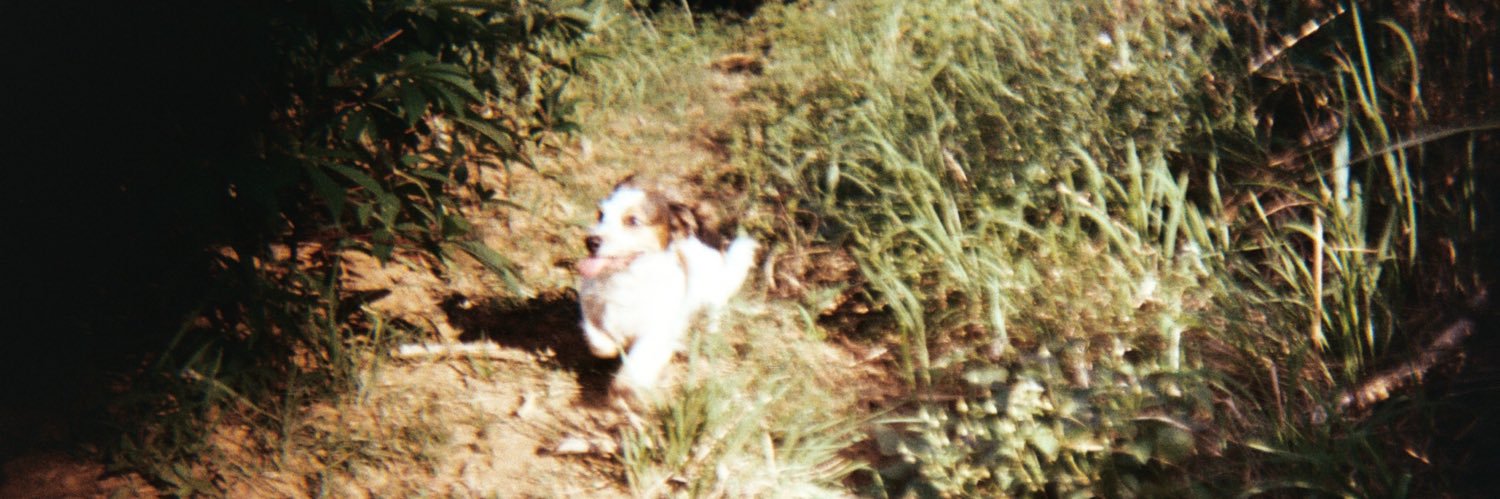 shoegazerr's profile banner image