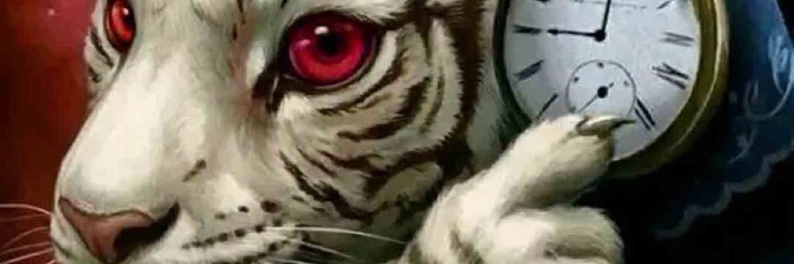 meow banner