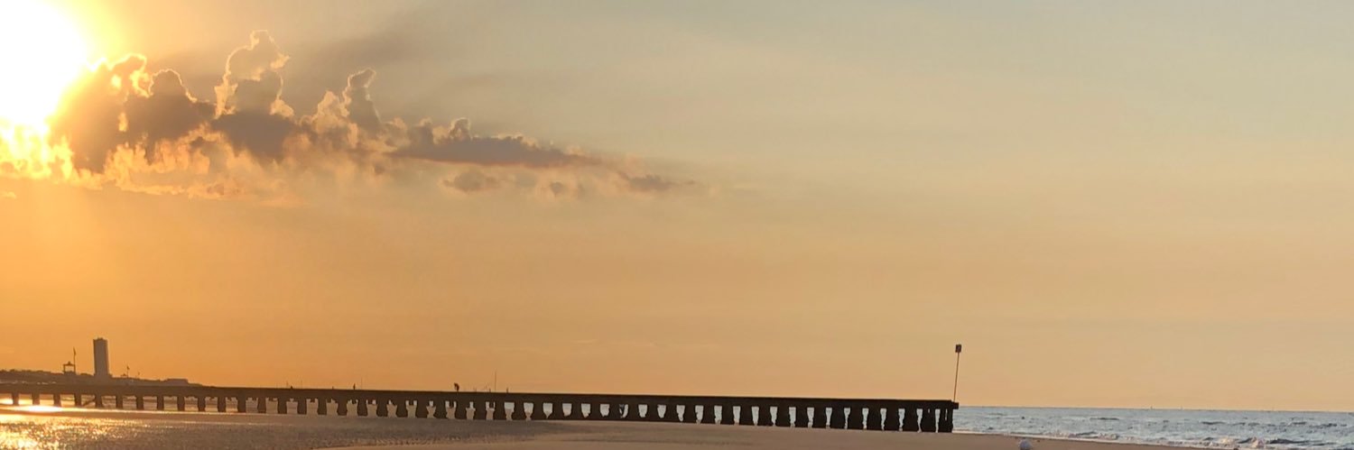 peinitz's profile banner image