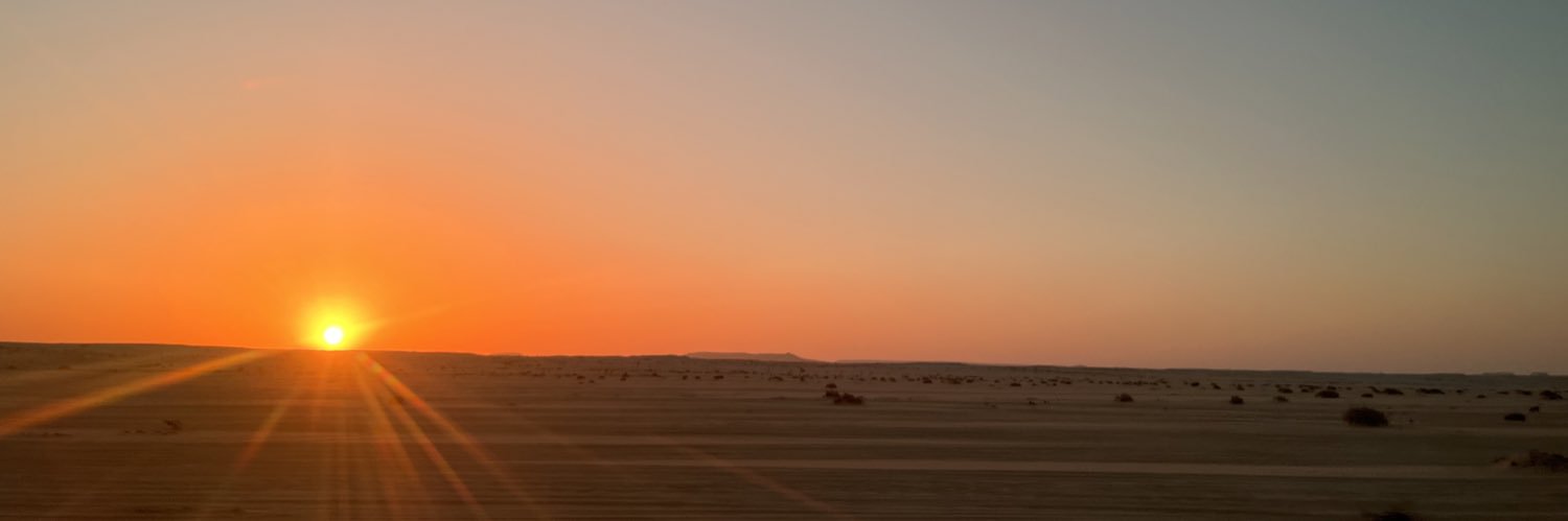 十一番隊平隊士🥨🍚 banner